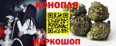 шишки Беслан