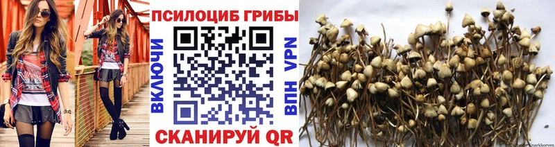 как найти наркотики  Гулькевичи  Псилоцибиновые грибы мухоморы 