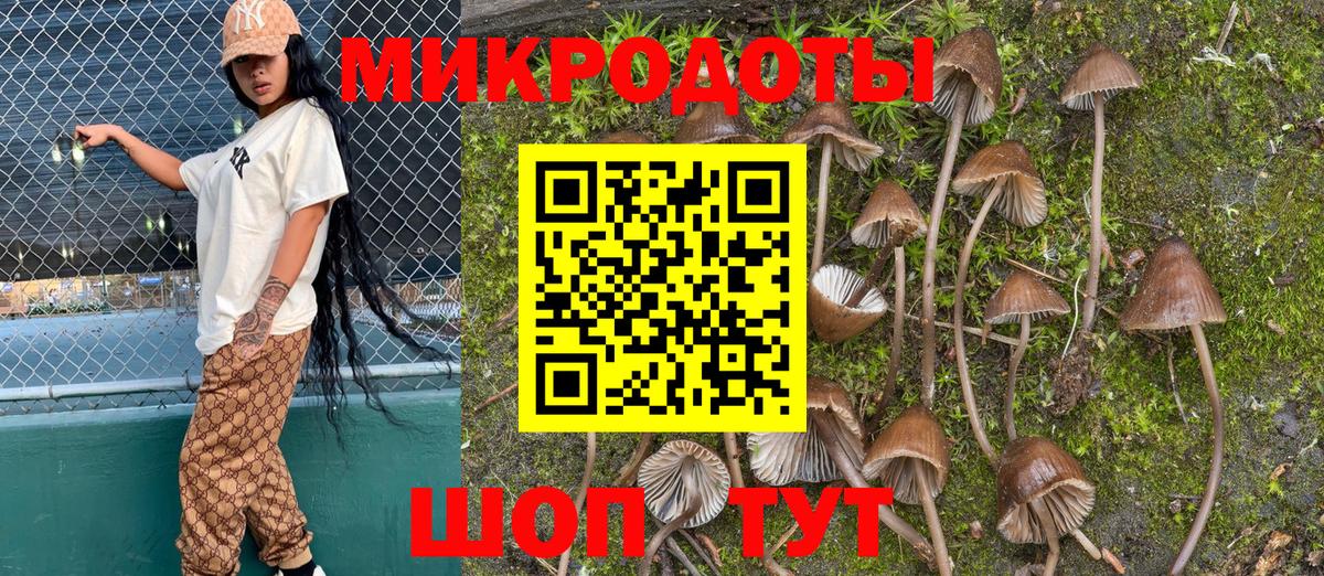Галлюциногенные грибы ЛСД Гулькевичи