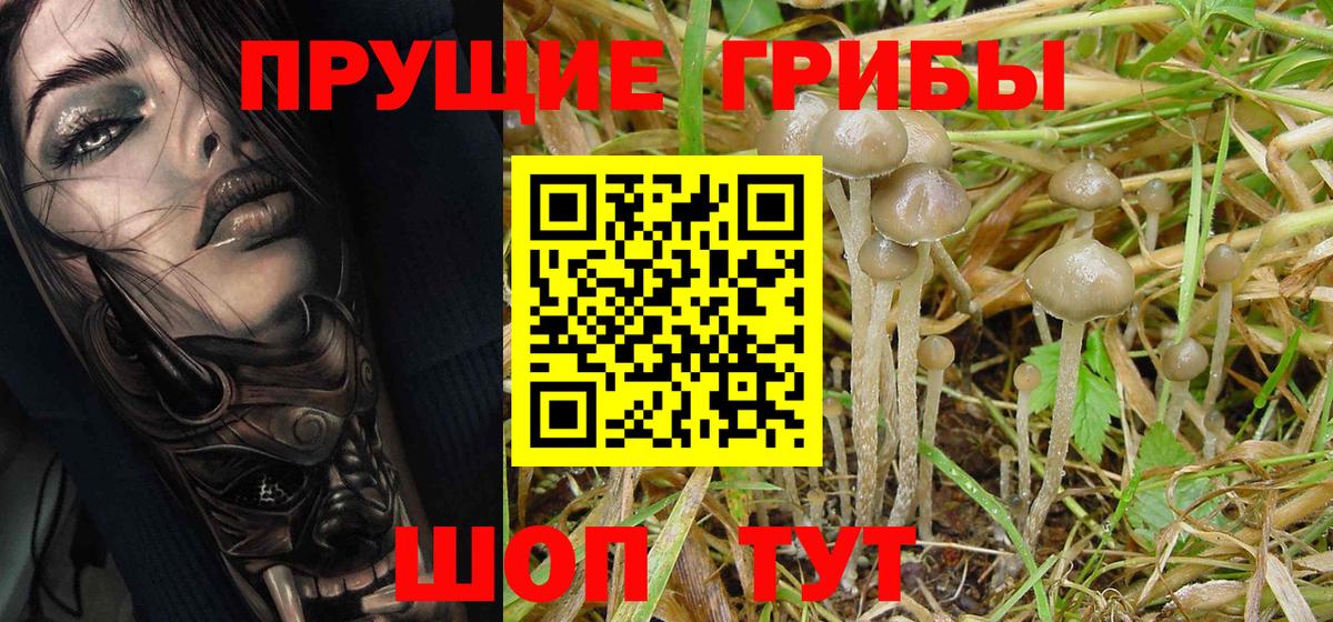 Галлюциногенные грибы GOLDEN TEACHER  Галлюциногенные грибы прущие грибы  Вход с VPN  Гулькевичи 